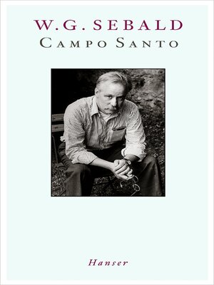cover image of Campo Santo